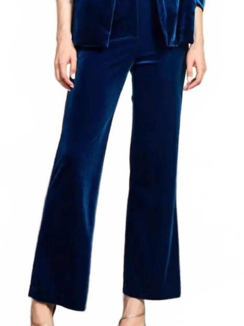 Velvet Blue Pants | S